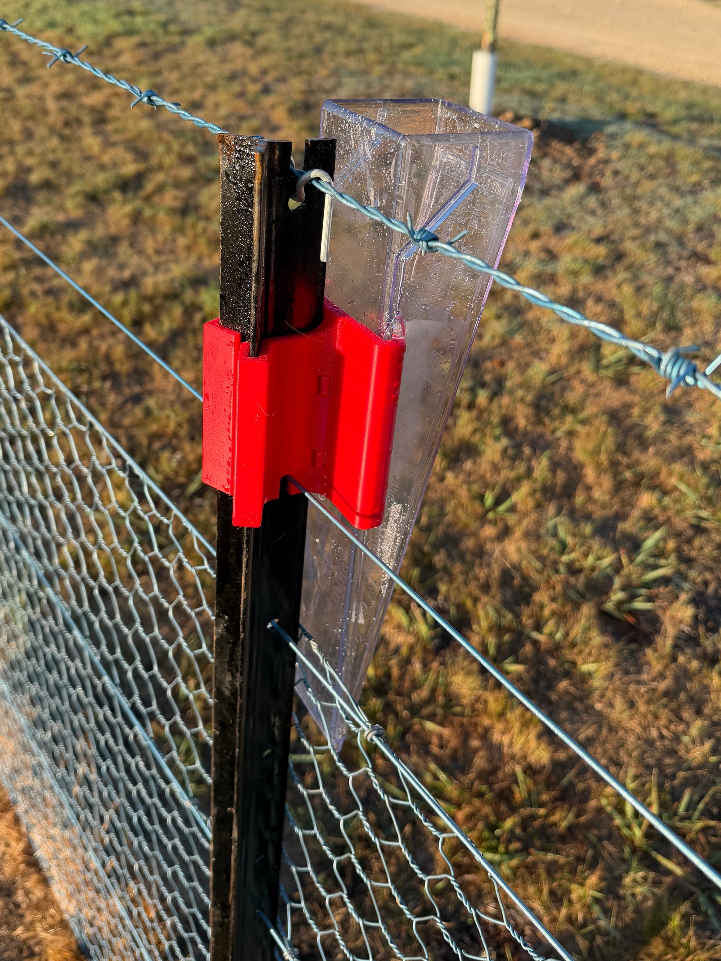 Rain Gauge collecting water – back view
